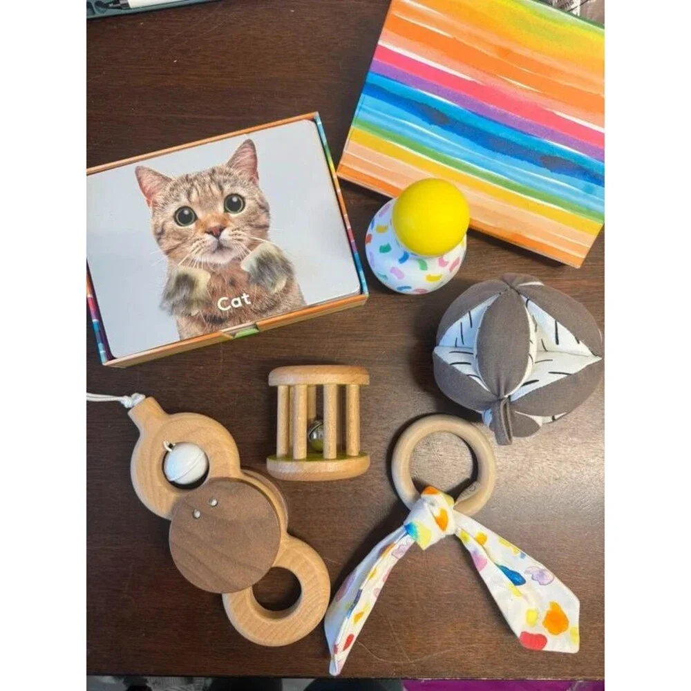 Lovevery newborn toys and flash cards